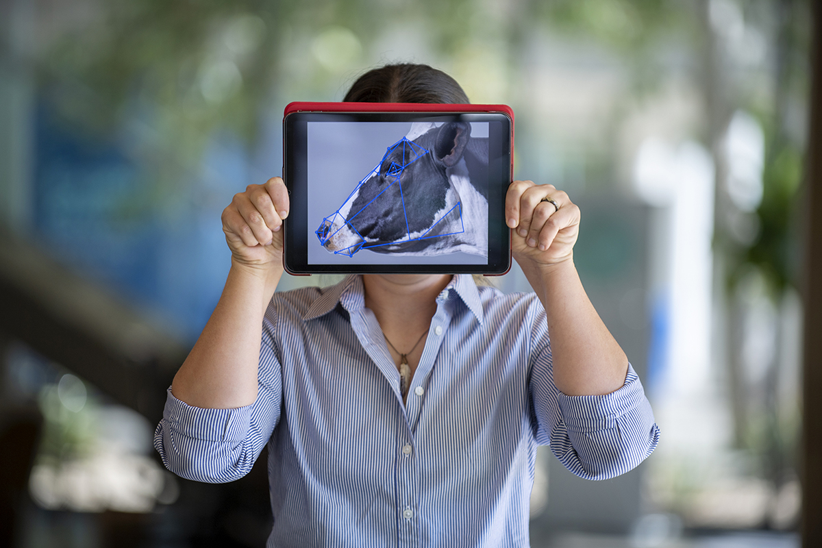 photo of a young woman holding an iPad in front of her face