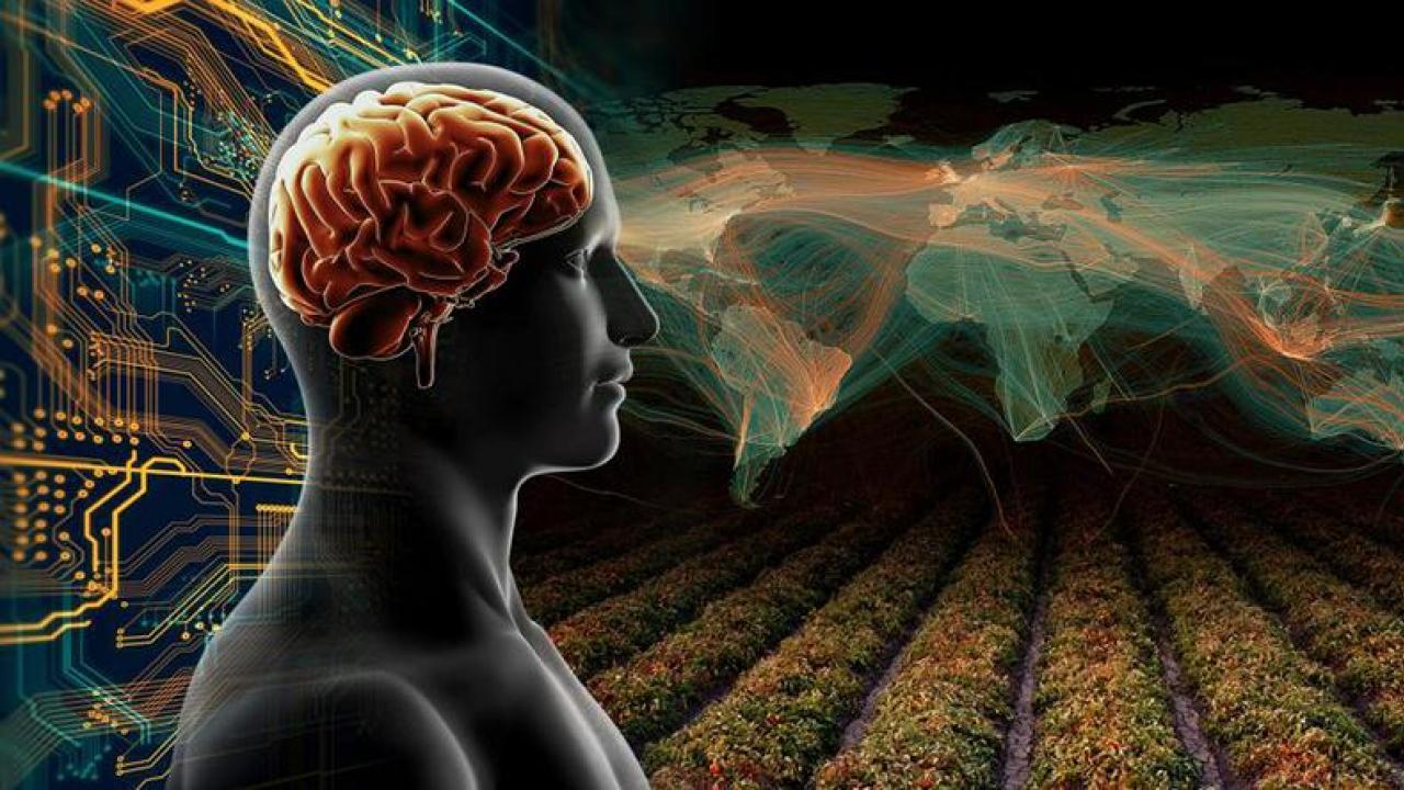 Big Ideas human brain world map crops