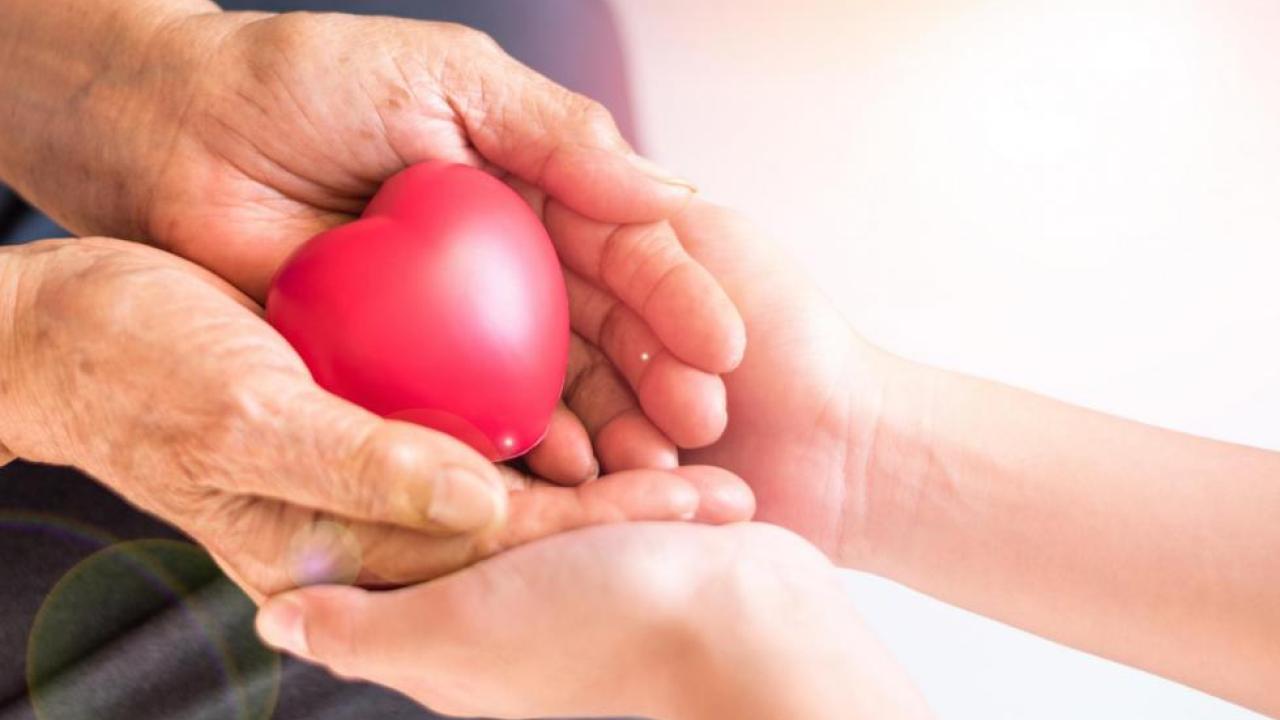 Heart in hands