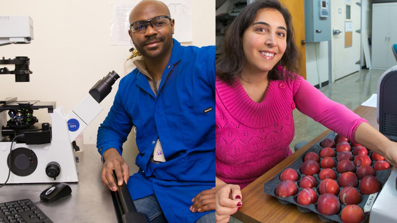 man graduate student in lab and woman graduate student in food science lab