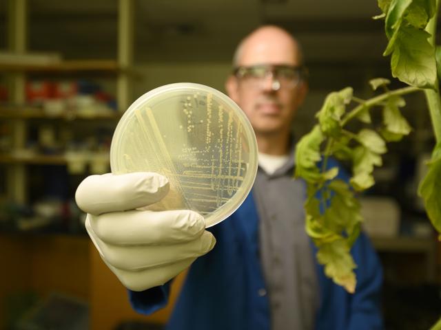 man in lab coat with innovation in agriculture