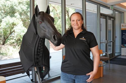 Equine Teaching Innovations
