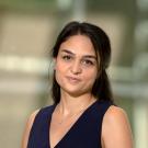 Ipek T. Bahceci