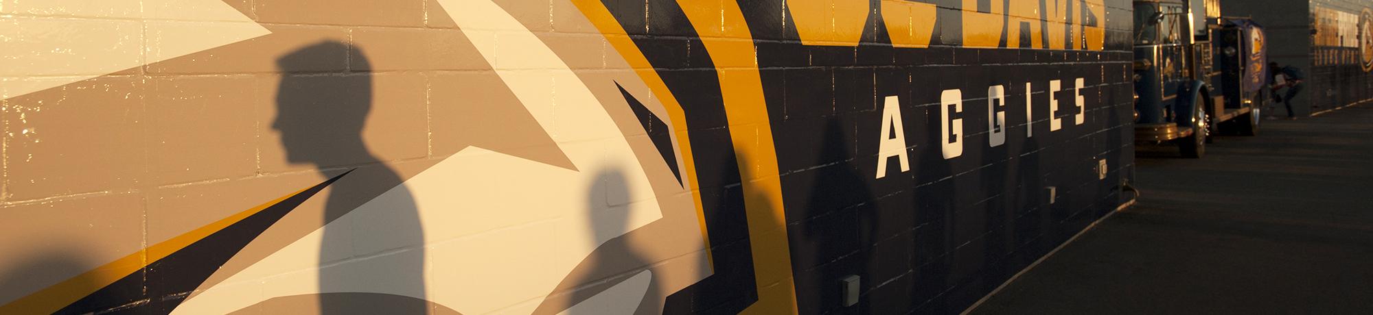 UC Davis wall with student shadow and "Aggies" painted on it